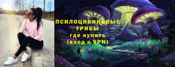 дурь Алексин