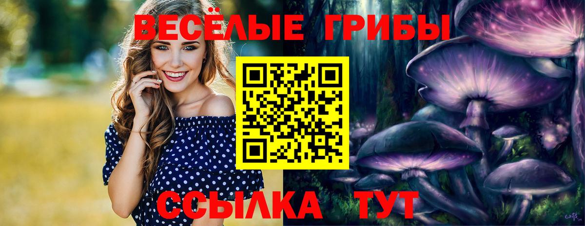 Галлюциногенные грибы мицелий Крымск